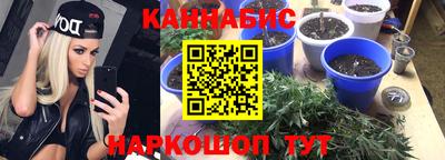 прущие грибы Заводоуковск