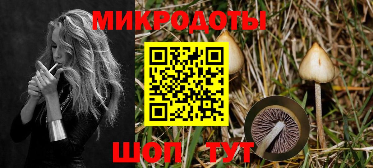 купить  цена  Вход с VPN  Галлюциногенные грибы мухоморы  Мичуринск  Псилоцибиновые грибы прущие грибы 